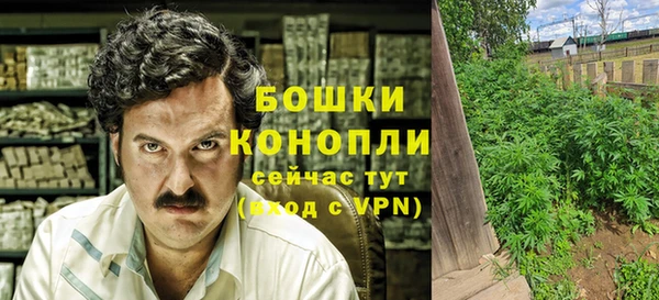 гашиш Богданович