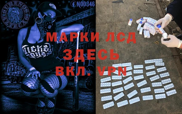 гашиш Богданович