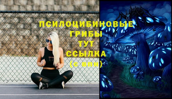 гашиш Богданович