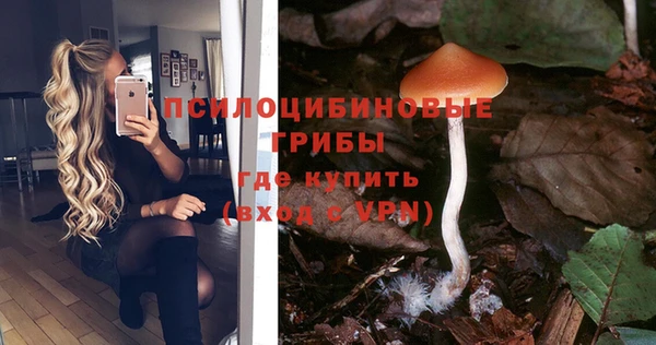 гашиш Богданович