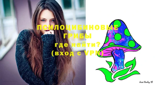 гашиш Богданович