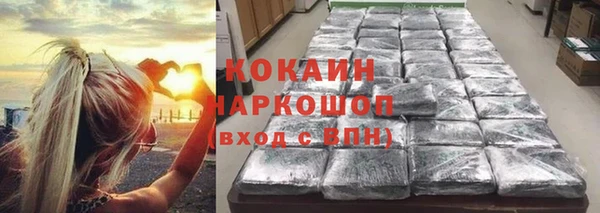 гашиш Богданович